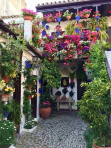 Cordoba Highlights – traditioneller Patio mit bunten Blumen und blauen Blumentöpfen in Córdoba