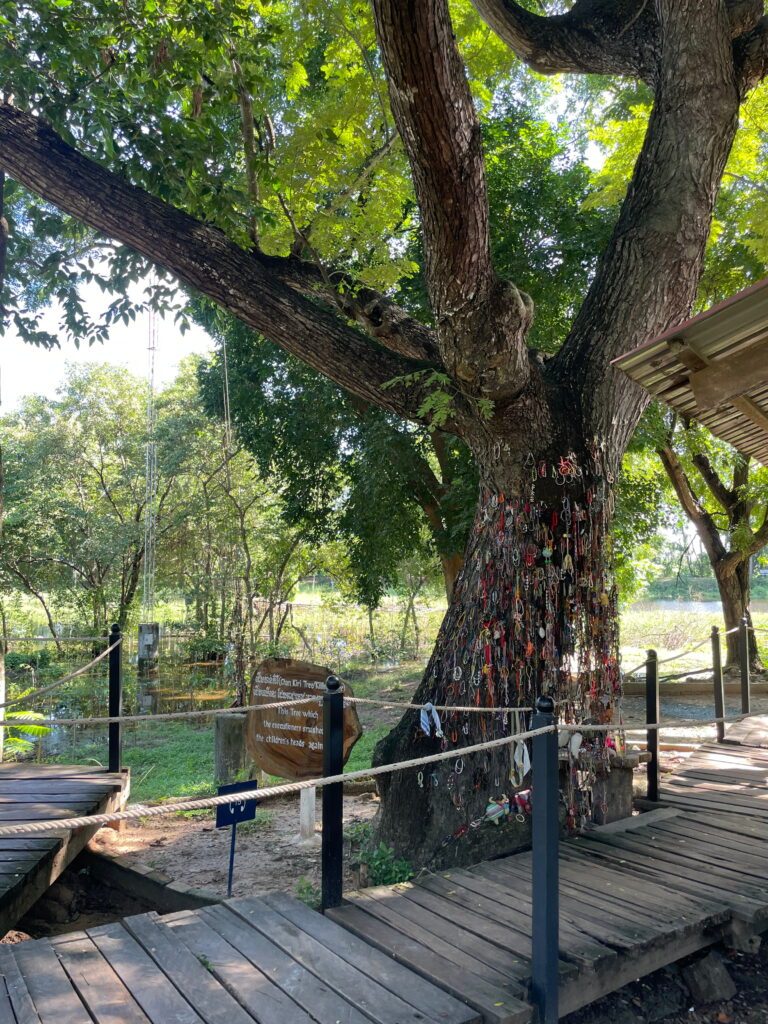 Killing Tree auf den Killing Fields von Choeung Ek in Phnom Penh, Kambodscha