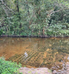 Fluss der 1.000 Lingas im Phnom Kulen Nationalpark bei Siem Reap