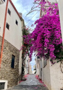 Blühende Altstadtgasse in Cadaqués an der Costa Brava