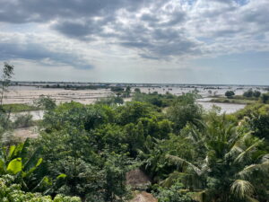 Ausblick über die weite Wasserlandschaft bei der Lotus Silk Farm in Siem Reap