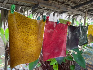 Buntes Lotuspapier trocknet auf der Lotus Silk Farm in Siem Reap, Kambodscha