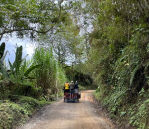Fahrt mit einem Willys Jeep durch die grüne Kaffeezone bei Salento in Kolumbien