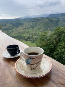 Kolumbianischer Kaffee mit Bergblick in Salento