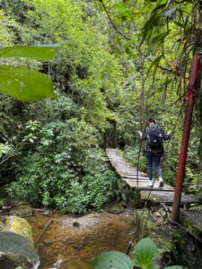 Wanderin überquert eine Hängebrücke bei einer Dschungeltour im Cocora Tal